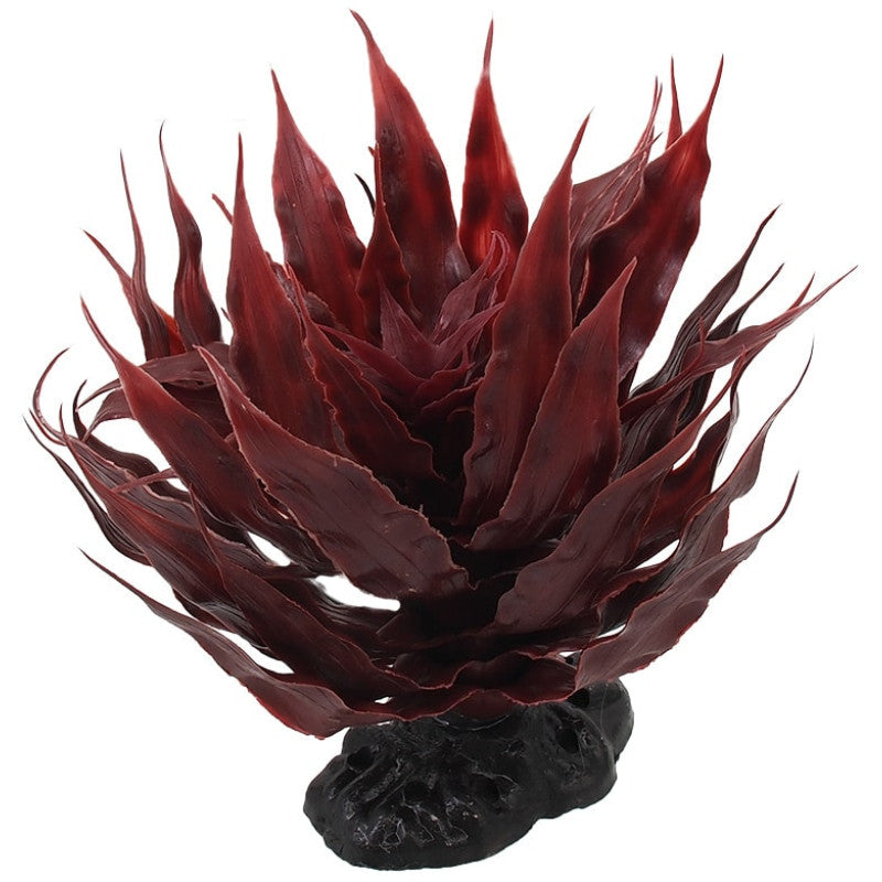 agave terrarium Repti Planet Succulent Agave Red, 18 cm, Terrarium supplies