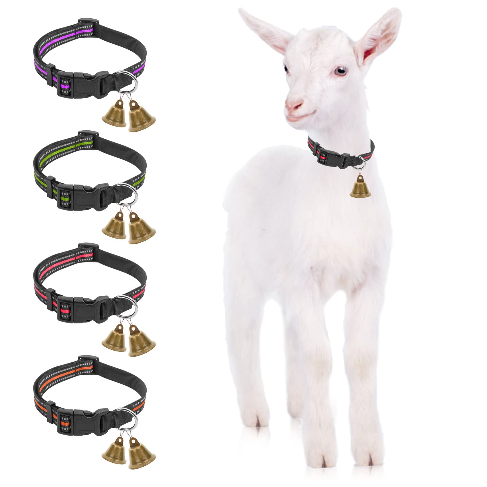 Accesories For Goat