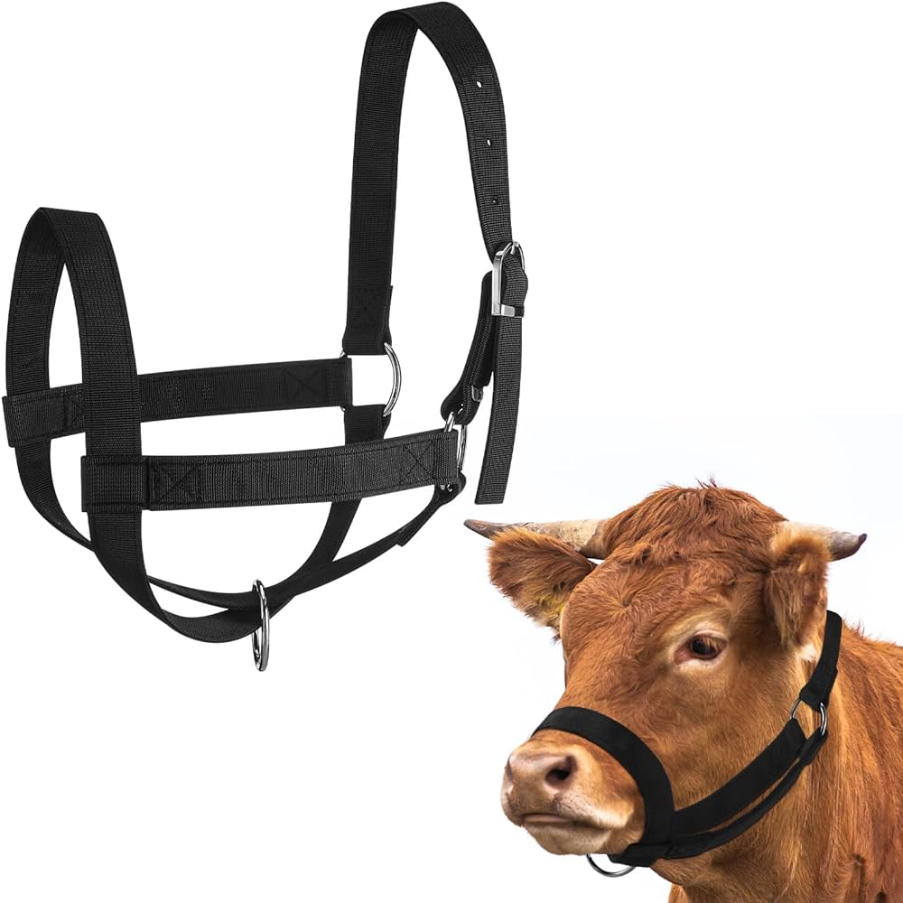 Accesories For Cow