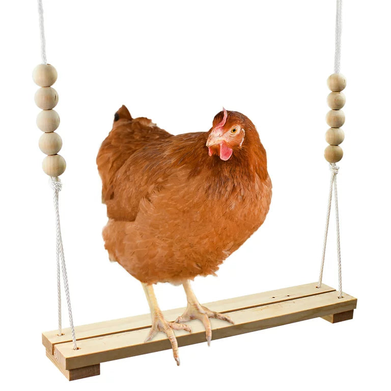 Accesories For Chicken & Poultry
