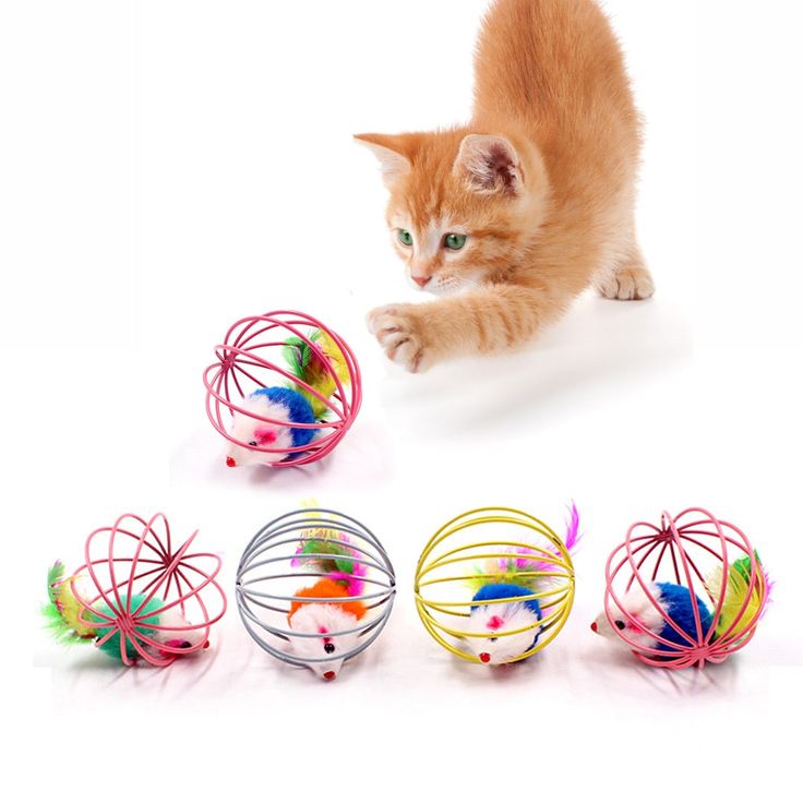 Cat Toys