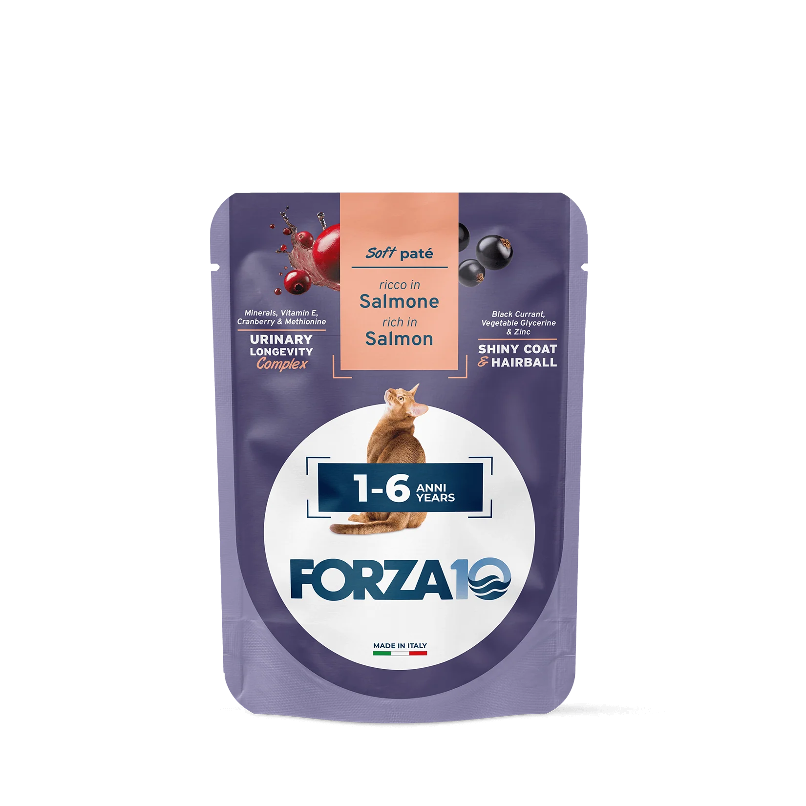 Forza10 BotaniCat Wet Cat Food With Salmon, 80g