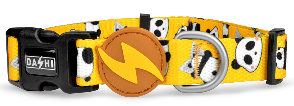 Dashi SNOOZE Collar for Dogs XS-L (20-72cm)