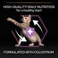 Load image into Gallery viewer, Purina PRO PLAN® Kitten Healthy Start Dry Cat Food with Chicken, 10kg
