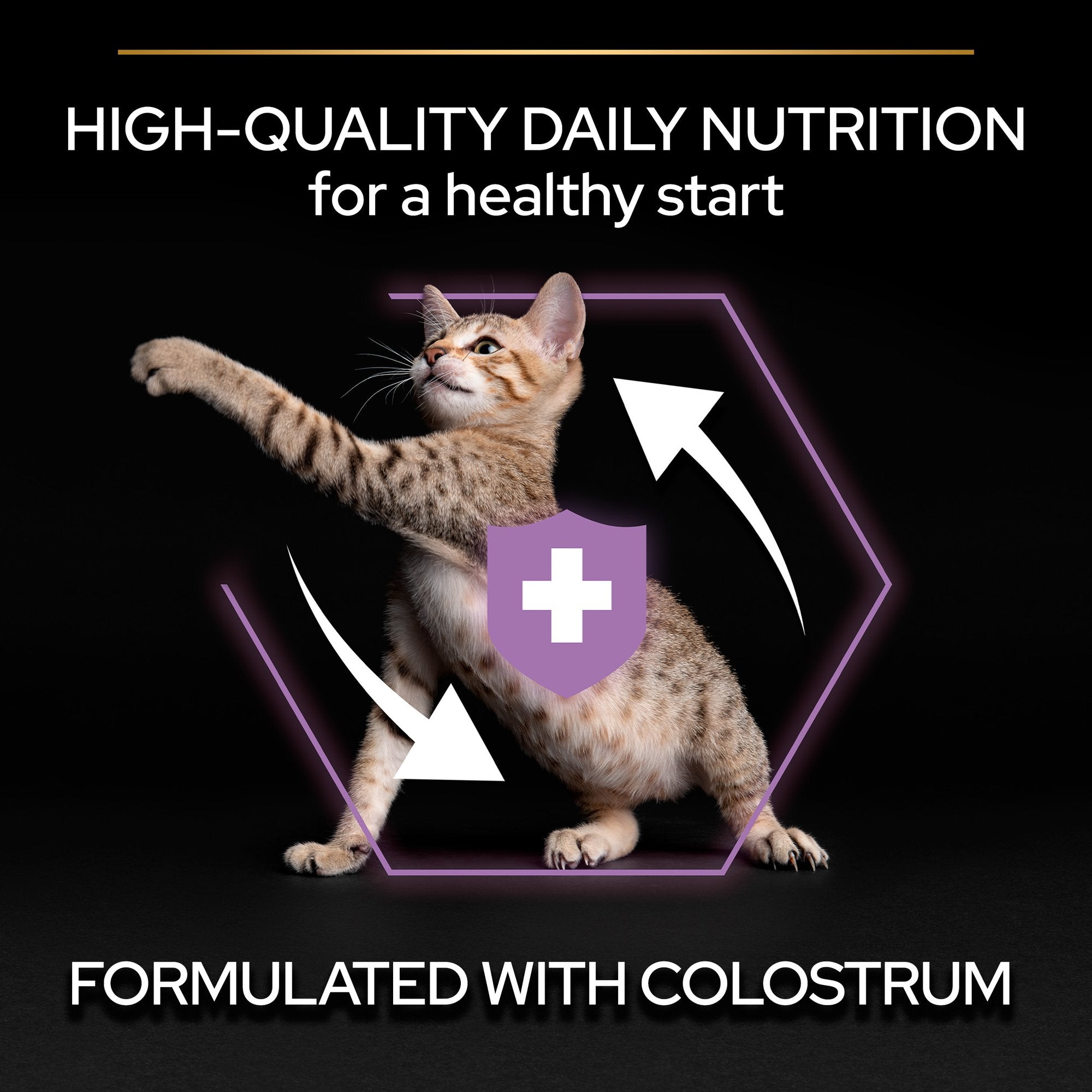 Purina PRO PLAN® Kitten Healthy Start Dry Cat Food with Chicken, 400g