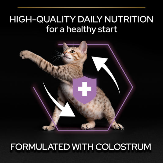 Purina PRO PLAN® Kitten Healthy Start Sausā barība kaķēniem ar vistu, 10kg