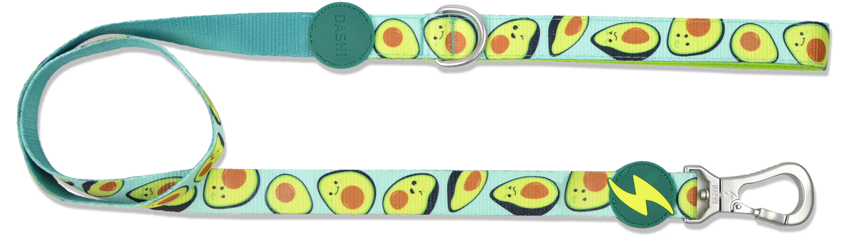 Dashi AVOCADO Leash XS-L (120cm x 1-2.5cm)