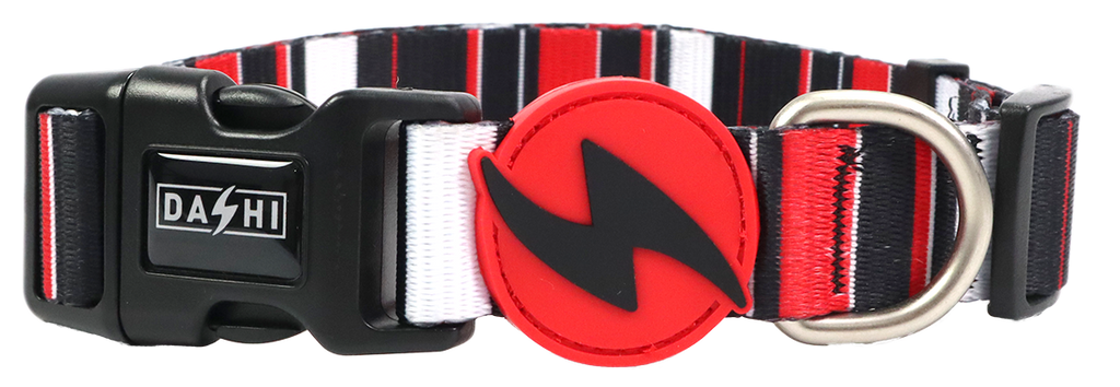 Collier Dashi SLIDE pour chiens