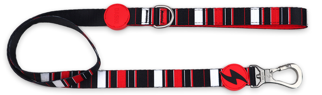 Dashi SLIDE Leash XS - L (120cm x 1-2.5cm)