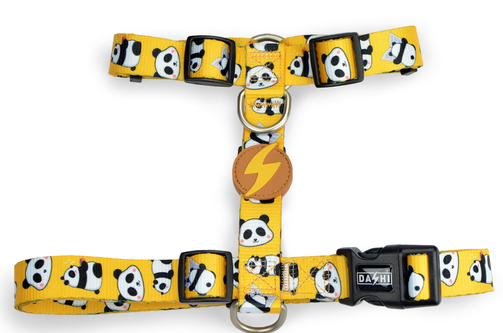 Dashi SNOOZE muguras iemaukti