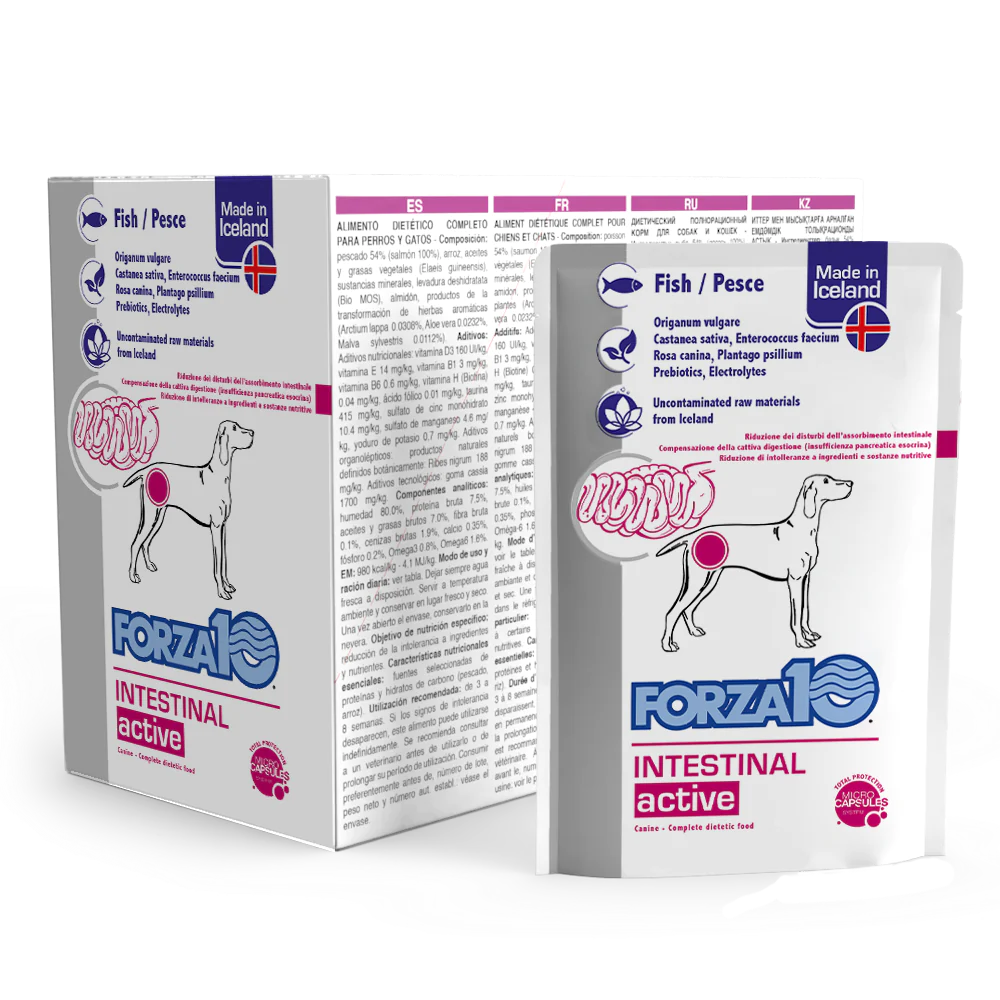Forza10 Intestinal ActiWet Dog, Konservi suņiem akūtu zarnu uzsūkšanās traucējumu atvieglošanai un gremošanas grūtību kompensēšanai ar zivi, 100g