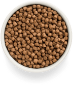 Grandorf Lamb Puppy All Breeds 10kg