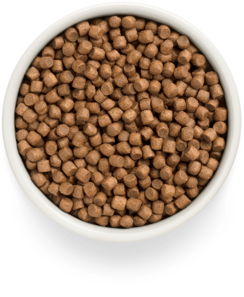 Grandorf Lammvalp Alla Raser 10kg