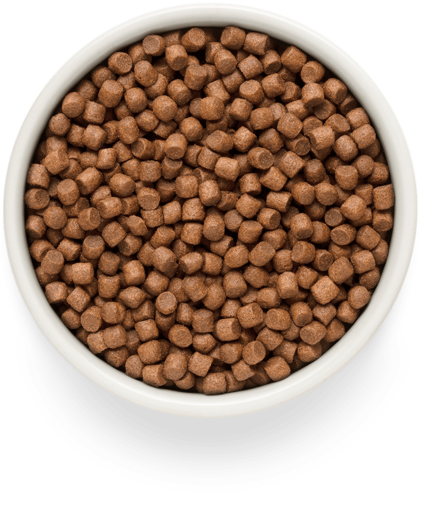 Ontario Dog Senior Mini Alimento seco para perros con cordero y arroz, 2,25 kg