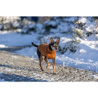 Trixie CityStyle Berlin Pullover For Dog, S 36cm