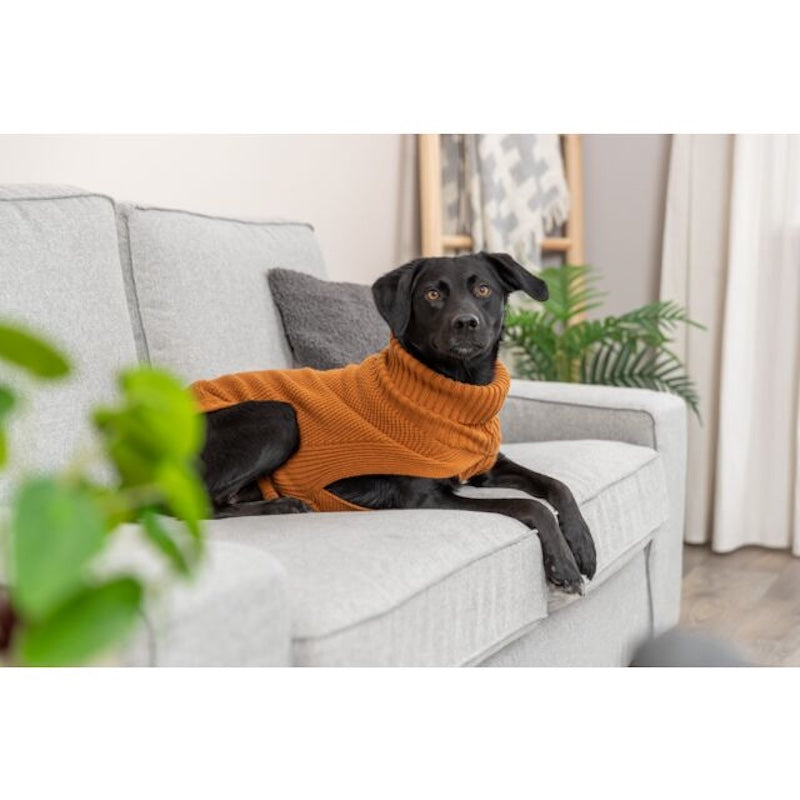Trixie CityStyle Berlin Pullover For Dog, S 40cm