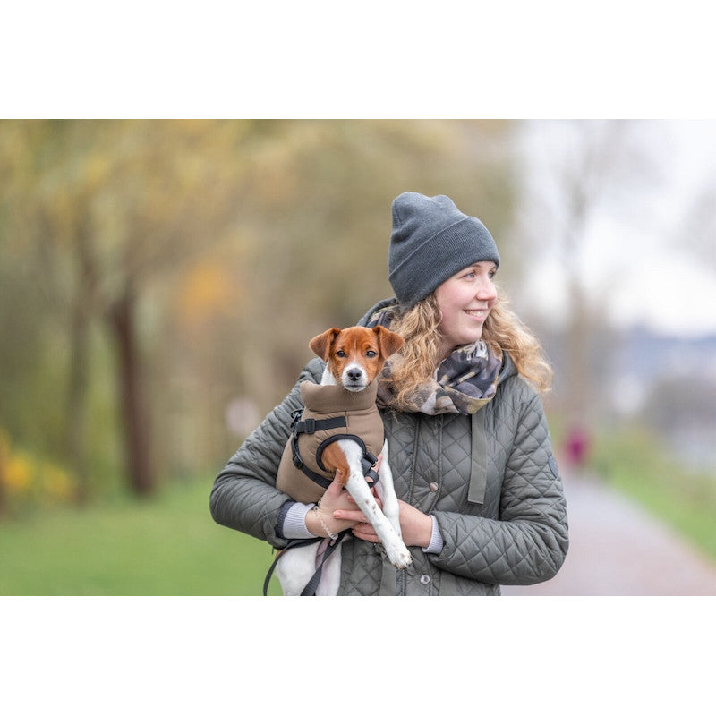 Trixie Pirou Winter Coat With Harness, S: 36 cm, Sand