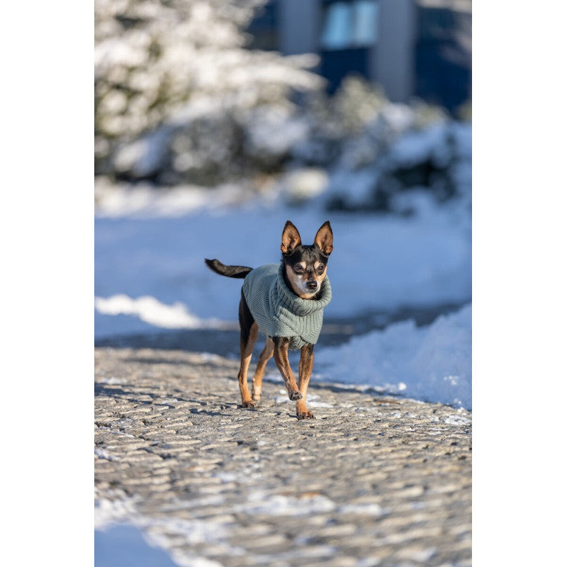 Trixie CityStyle Berlin Pullover For Dog, XS: 24 cm