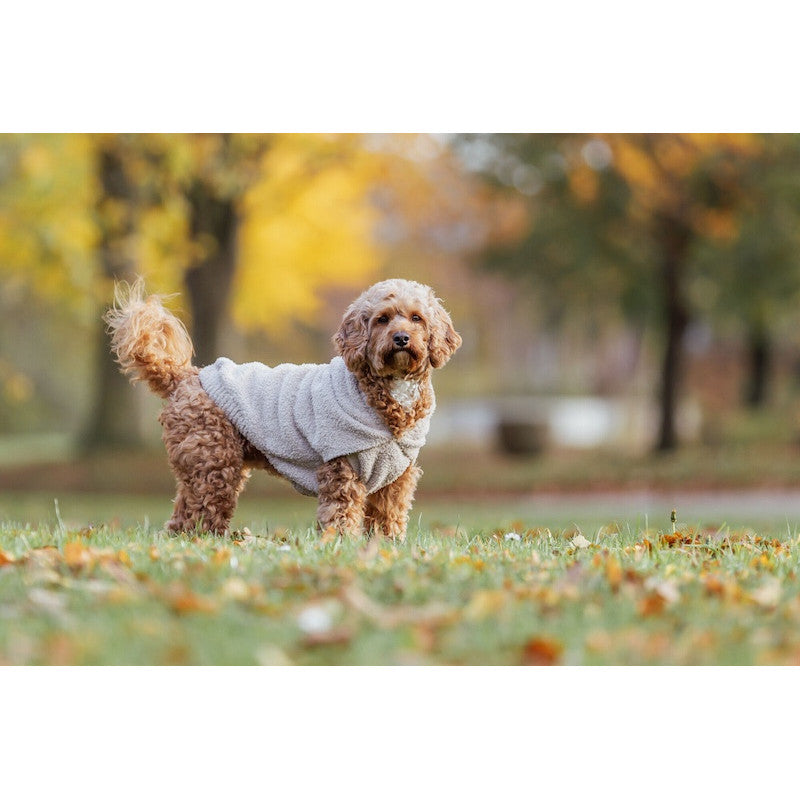 Trixie Carson Hoodie For Dogs, S: 36cm