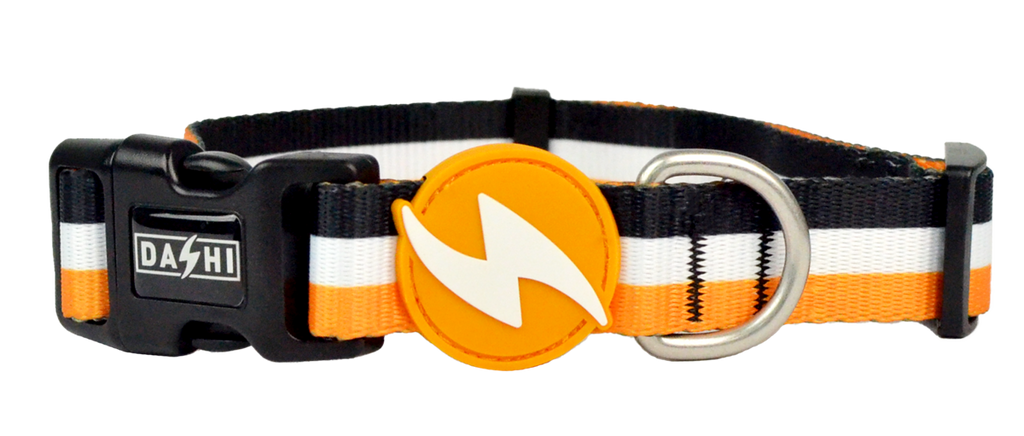 Dashi ORANGE&BLACK Collar For Dogs XS-L (20-72cm)