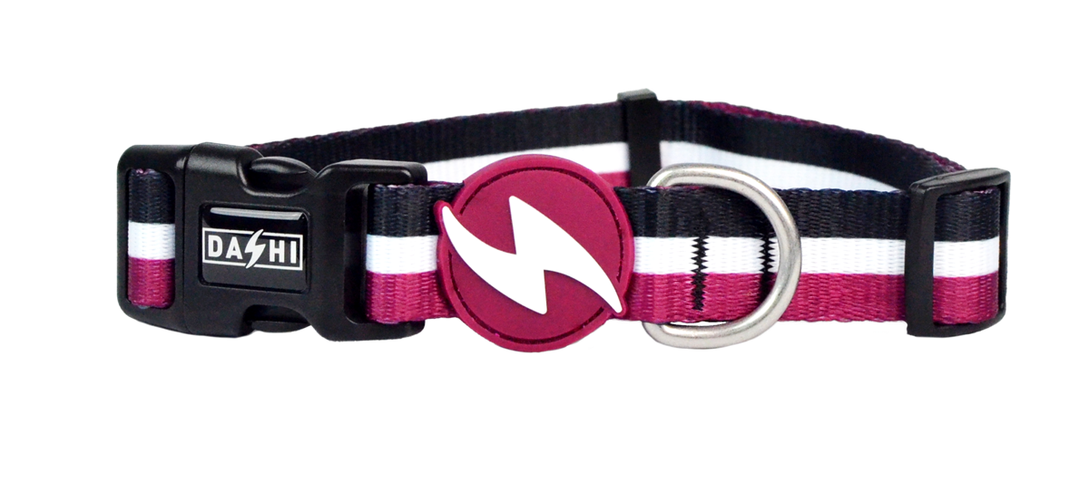 Collar para perro Dashi Stripes3 PÚRPURA Y NEGRO