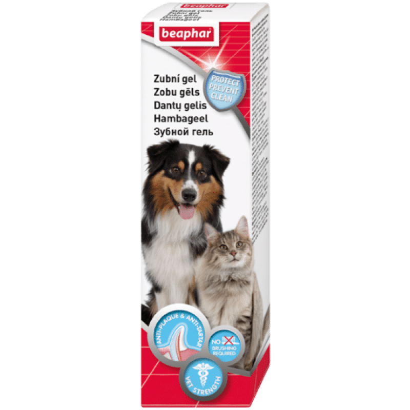 Gel dentaire Beaphar 100g