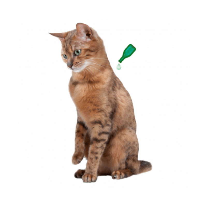 Beaphar Veto Pure Bio Spot On pour chatons, 3 pipettes - Protection naturelle contre les puces, les tiques et les parasites