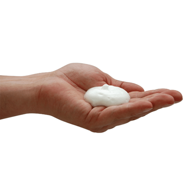 Beaphar VETOPure Bio Champú contra pulgas, garrapatas y mosquitos para perros y gatos, 250 ml (8,45 fl. oz.)