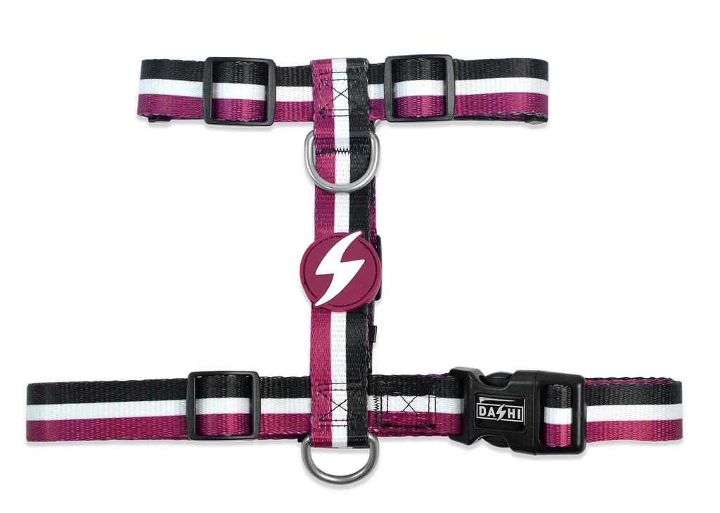 Dashi PURPLE&BLACK Back Harness For Dogs XS-L (23-107cm)