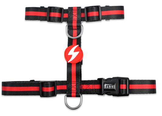 Dashi Stripes3 RED&BLACK Dog Harnesses