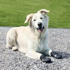 Trixie Walker Active Protective Boots L-XL, 2 Pieces