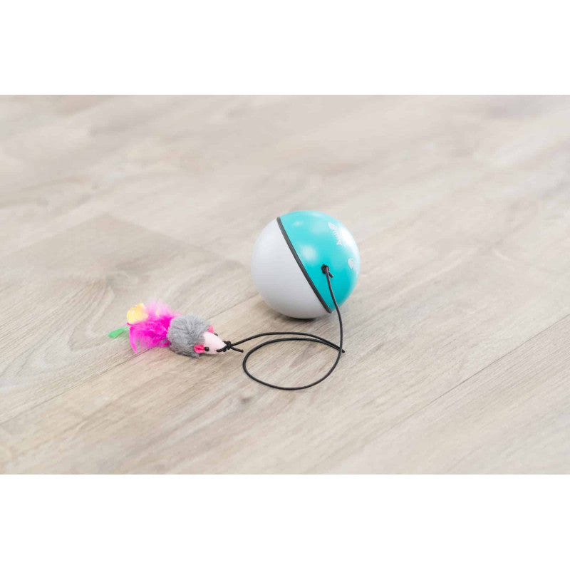 Katzenspielzeug komplett