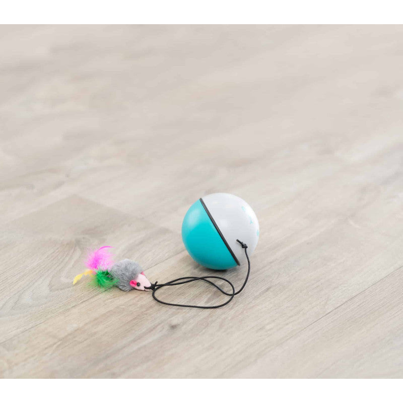 Katzenspielzeug komplett