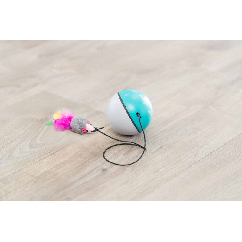 Katzenspielzeug komplett