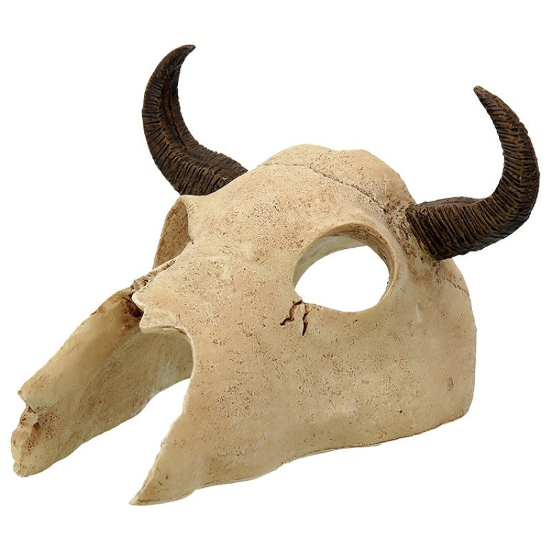 Repti Planet Buffalo skull 12,5x11,8x8cm