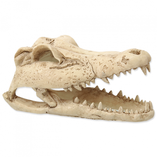 Repti Planet Crokodil skull 13,8x6,8x6,5cm