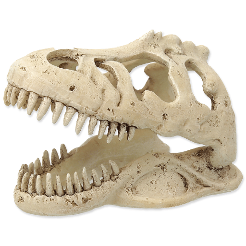 Repti Planet T:REX skull 13,3x8,5x9cm