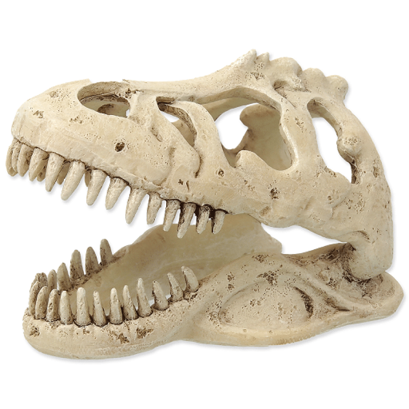 Repti Planet T:REX skull Terrarium Decor 13,3x8,5x9cm