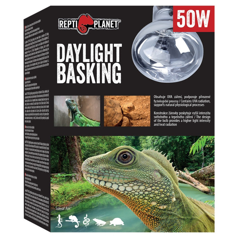 Repti Planet Bulb Daylight Basking Spot 50W