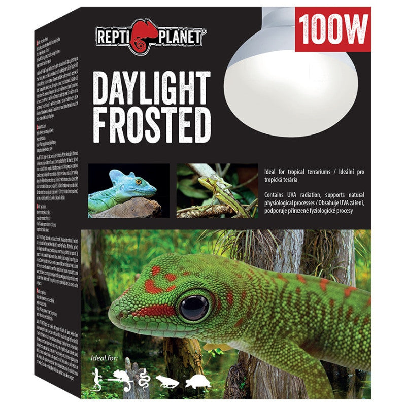 Repti Planet Bulb Lamp Daylight Frosted 100W