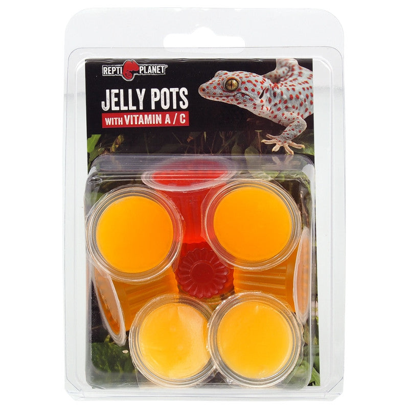 Repti Planet Jelly Pots Fruit Supplementary Food