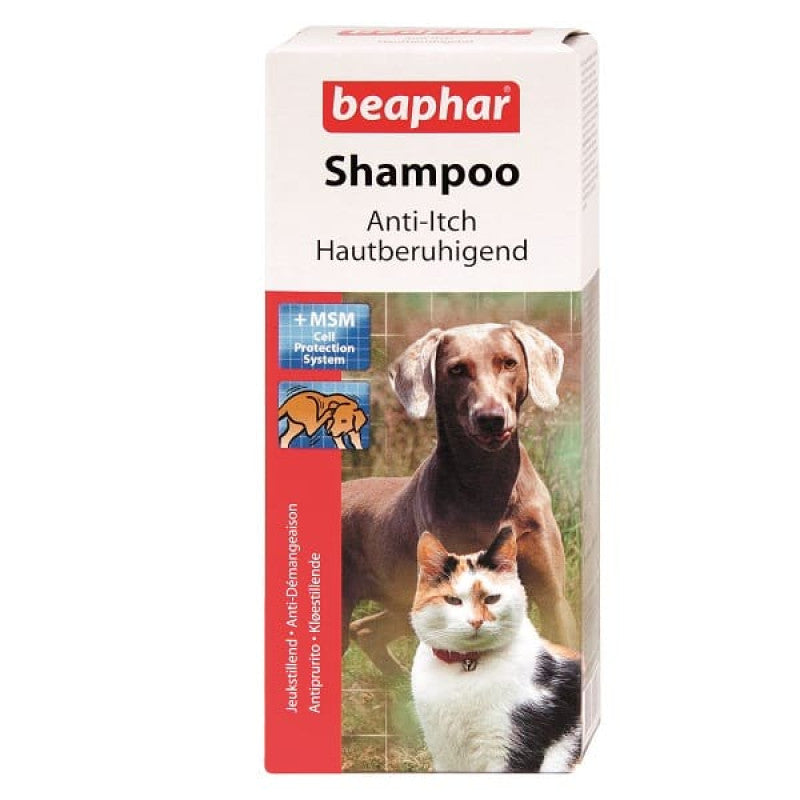 Šampūns dzīvniekiem : Beaphar Anti Itch Shampoo for Dog Cat 200ml, pret ādas nieziŠampūns dzīvniekiem : Beaphar Anti Itch Shampoo for Dog Cat 200ml, pret ādas niezi
