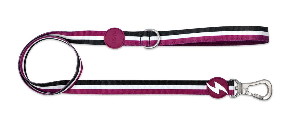 Dashi PURPLE&BLACK Leash XS - L (120cm x 1-2.5cm)