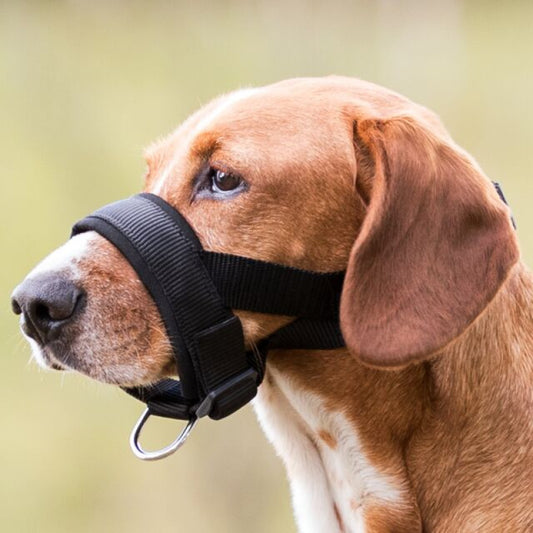 Trixie Muzzle Loop, Nylon, XL-XXL, Neck Strap: 28-38 cm, Snout Strap: 38-28 cm