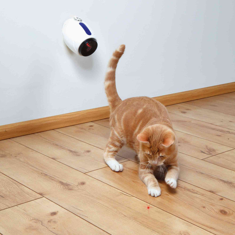Jouets pour chats complets