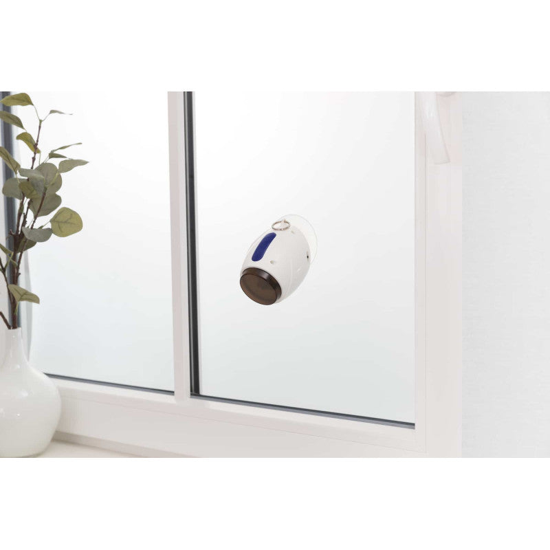 Katzenspielzeug komplett