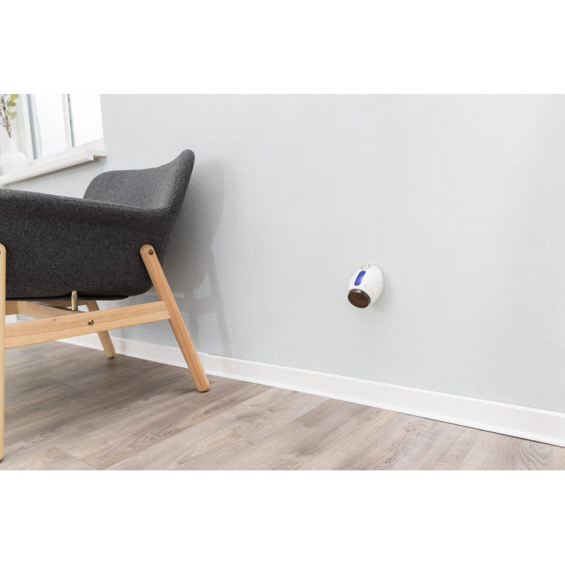 Katzenspielzeug komplett