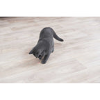 Katzenspielzeug komplett