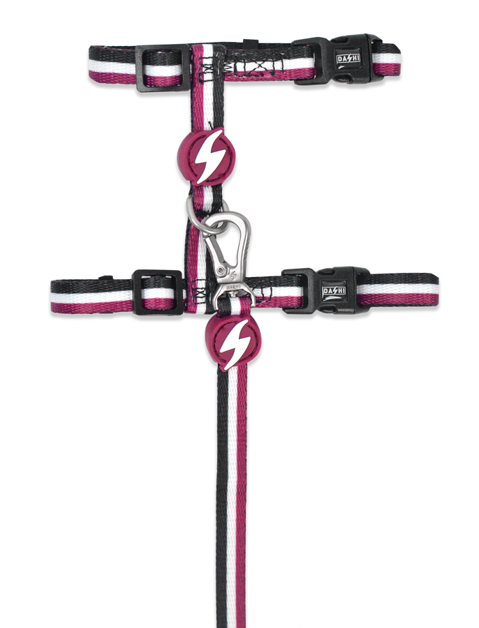 Dashi Stripes3 PURPLE&BLACK Cat Harness + Leash