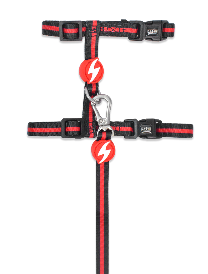 Dashi Stripes 3 RED BLACK Cat Harness + Leash
